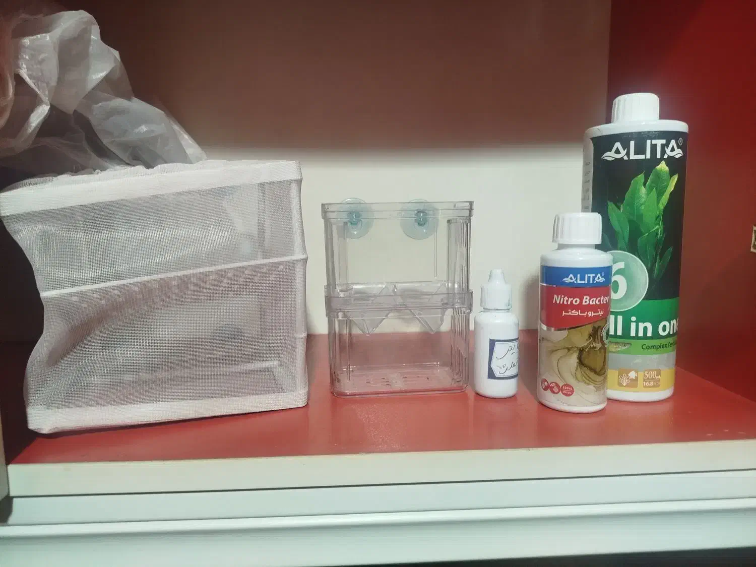 آکواریوم b102 دلسا با ماهی|ماهی|تهران, نعمتآباد|دیوار