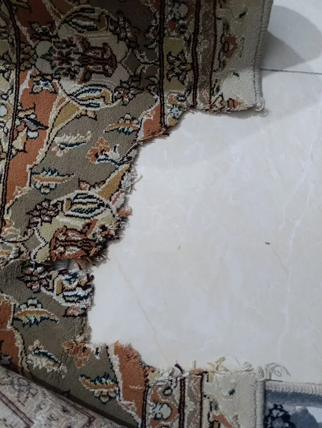 دوتا فرش ۶ متری|فرش|ملارد, |دیوار