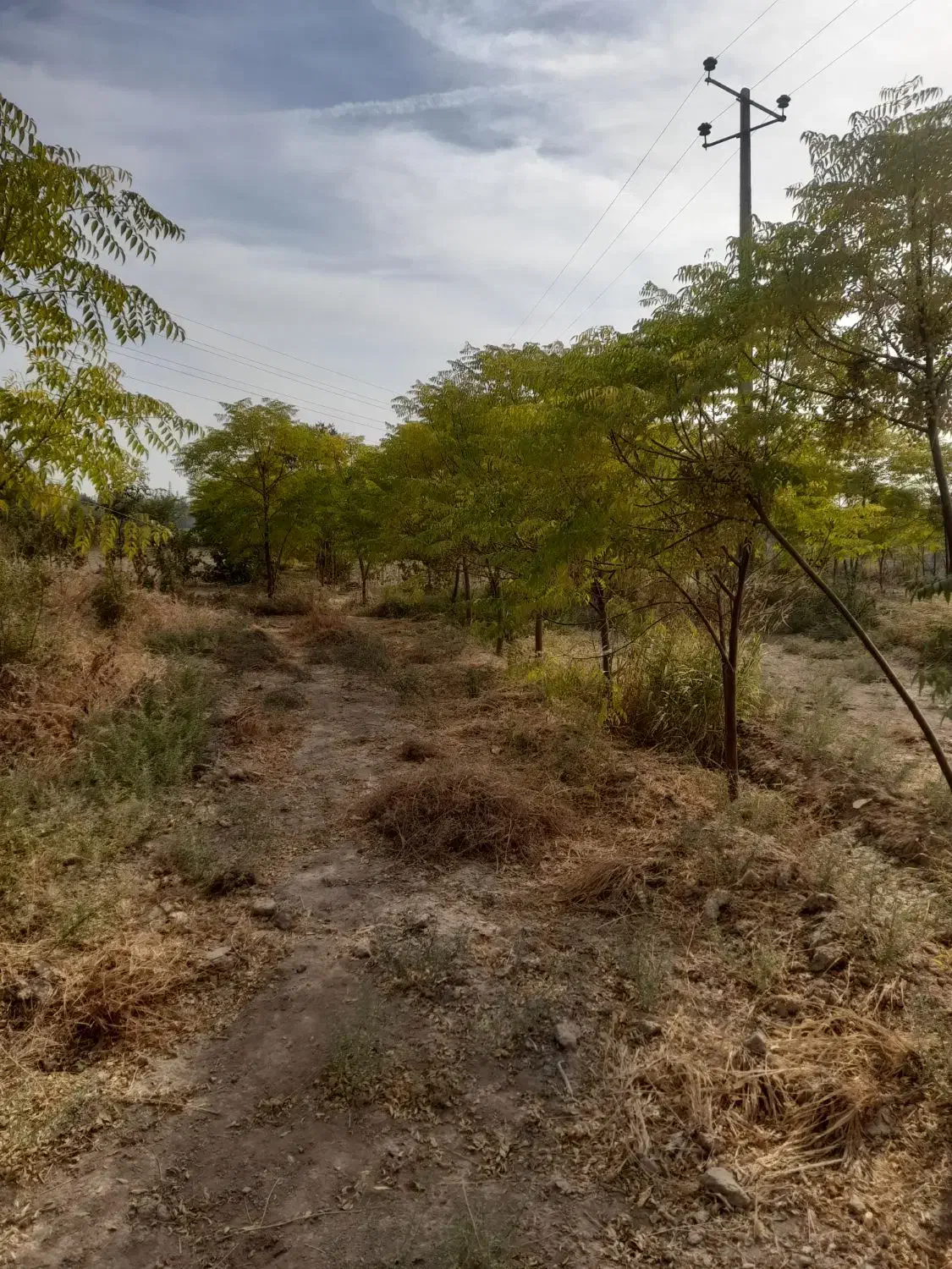 باغچه ۴۰۰ متری|فروش زمین و ملک کلنگی|باقرشهر, |دیوار