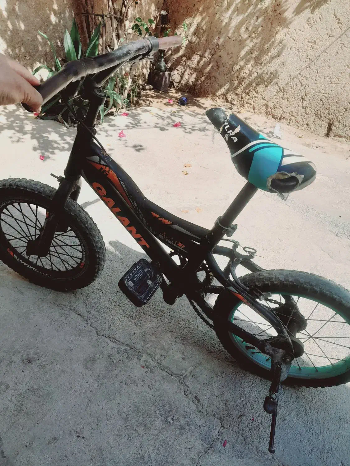 دوچرخه ۱۶|دوچرخه، اسکیت، اسکوتر|چغادک, |دیوار