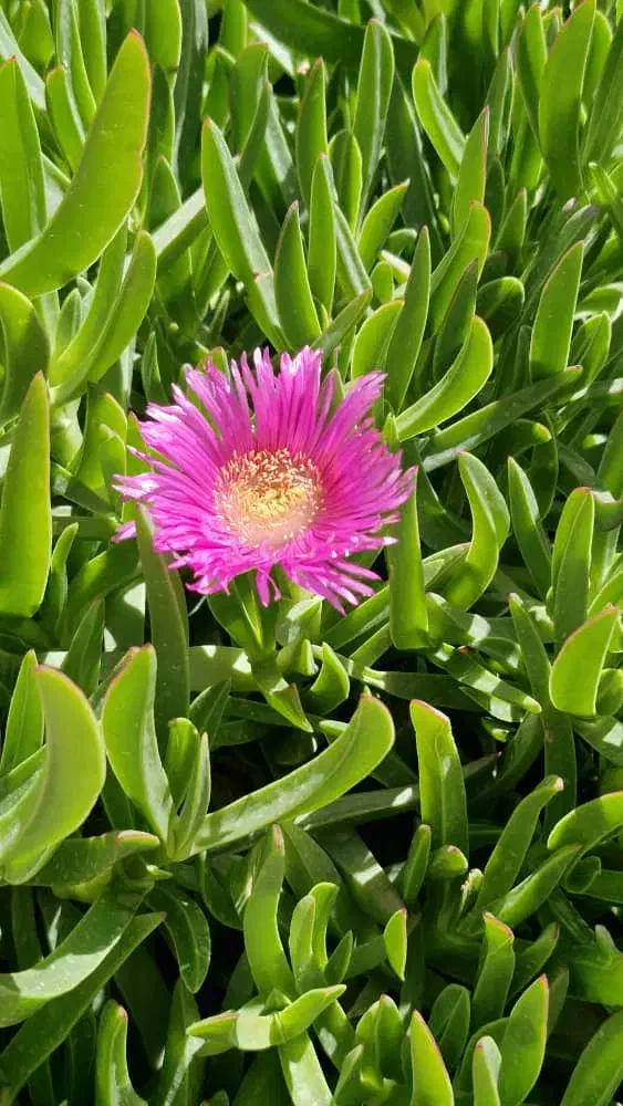 درمان جوش|خدمات آرایشگری و زیبایی|نیشابور, دارایی|دیوار