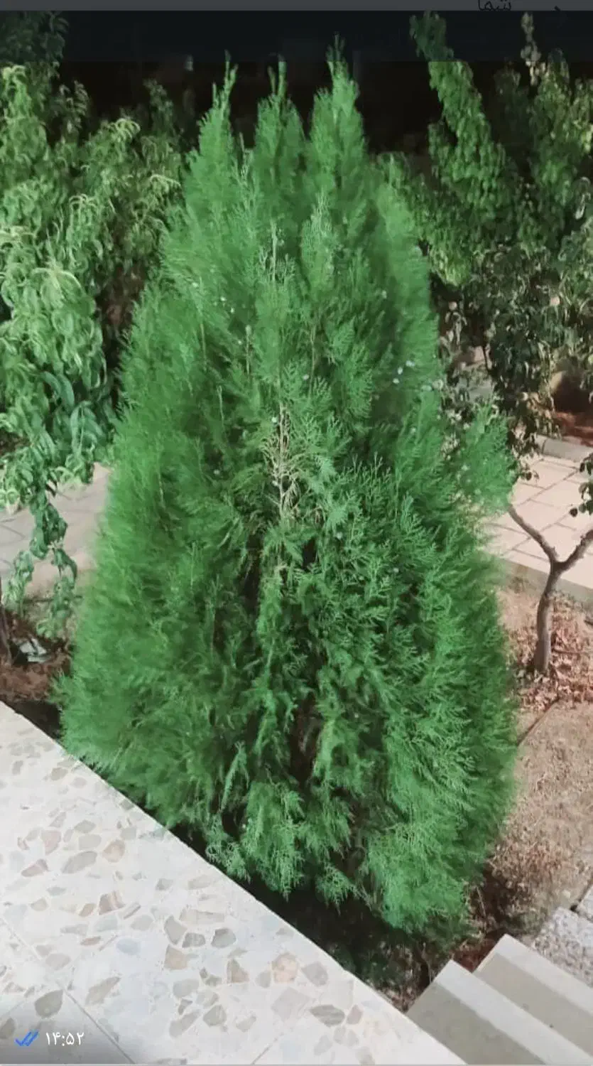 فروش باغ شهری در شیراز سیاخ دارنگون مجتمع گلابدره|فروش زمین و ملک کلنگی|شیراز, شهرک گلدشت حافظ|دیوار