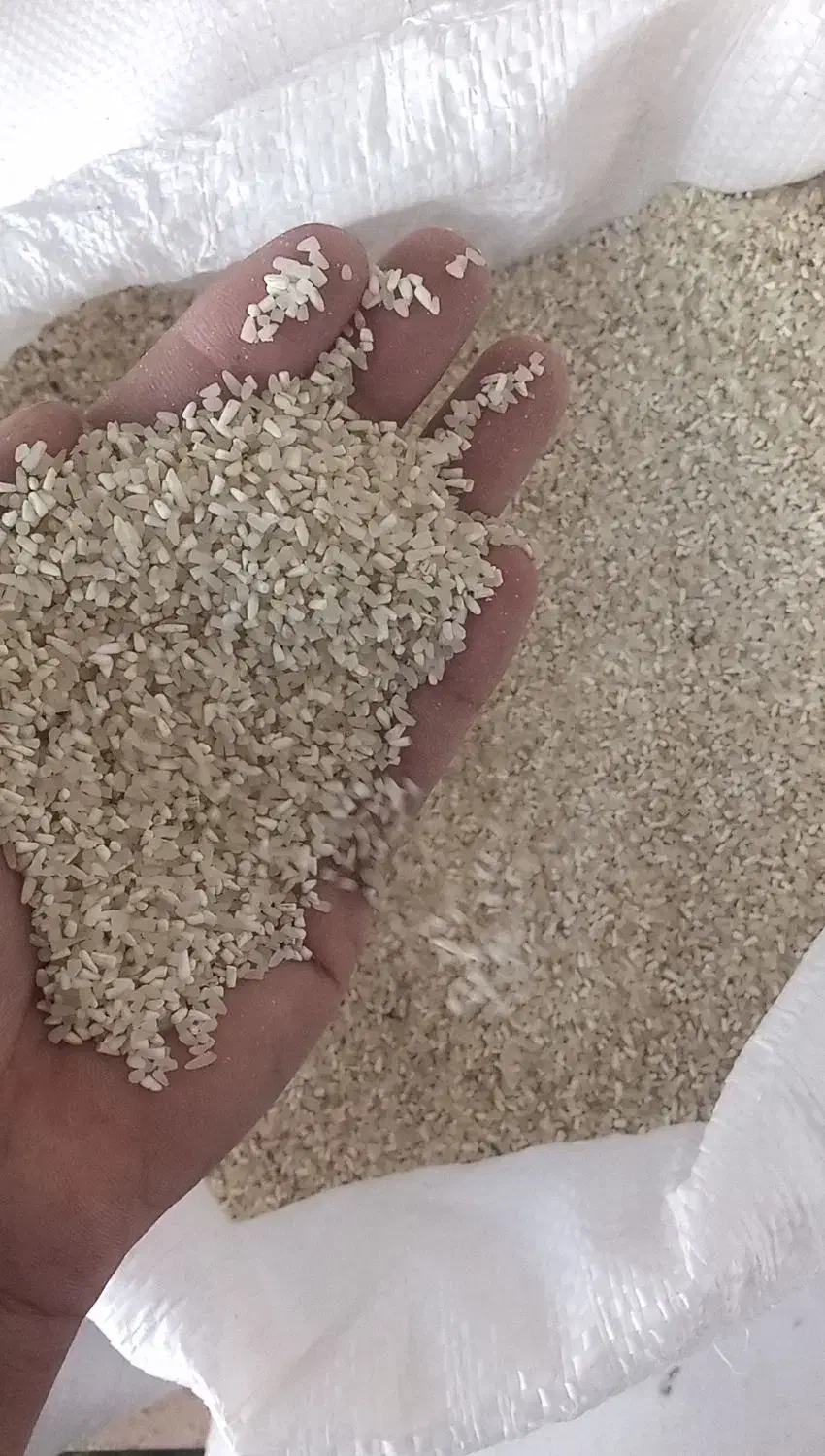 فجر سوزنی شمال|خوردنی و آشامیدنی|گرگان, |دیوار