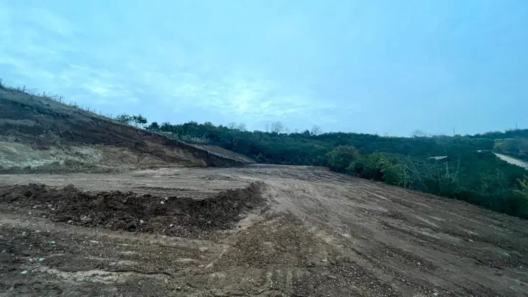 زمین|فروش زمین و ملک کلنگی|قائم‌شهر, |دیوار