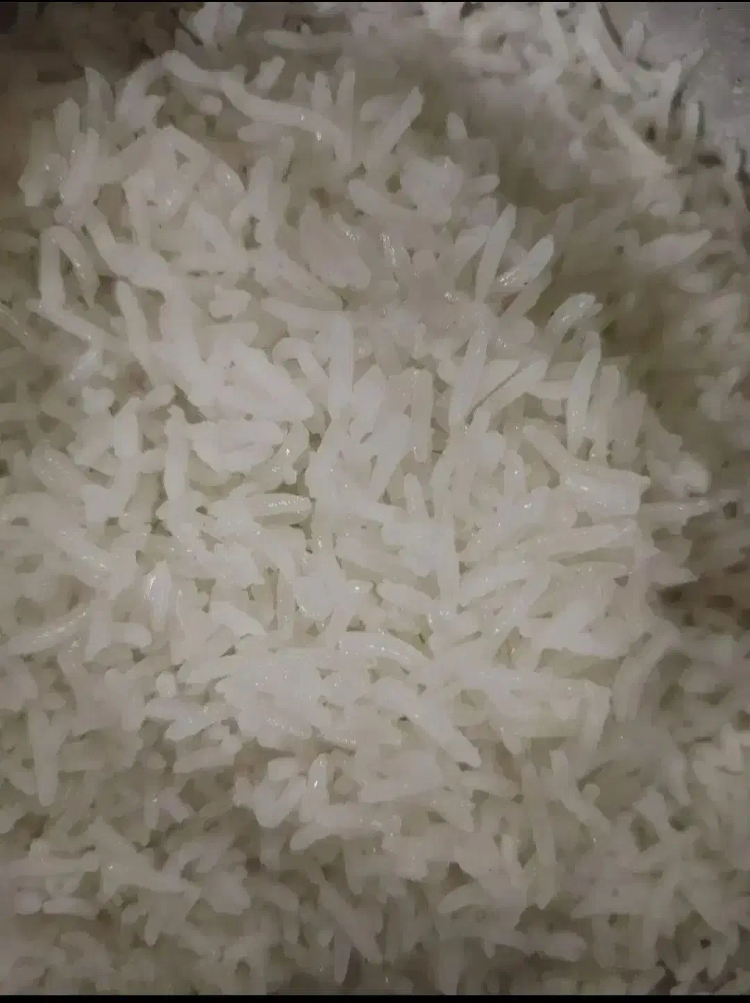 برنج هاشمی خوشپخت عنبر بو|خوردنی و آشامیدنی|قم, زاویه|دیوار