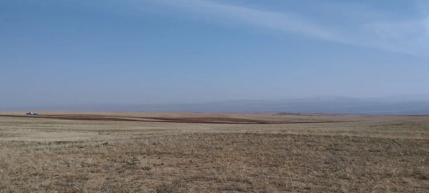 زمین دیم شخم شده وپنجه زده شده اجاره داده میشود|اجارهٔ دفتر صنعتی، کشاورزی، تجاری|زنجانرود, |دیوار