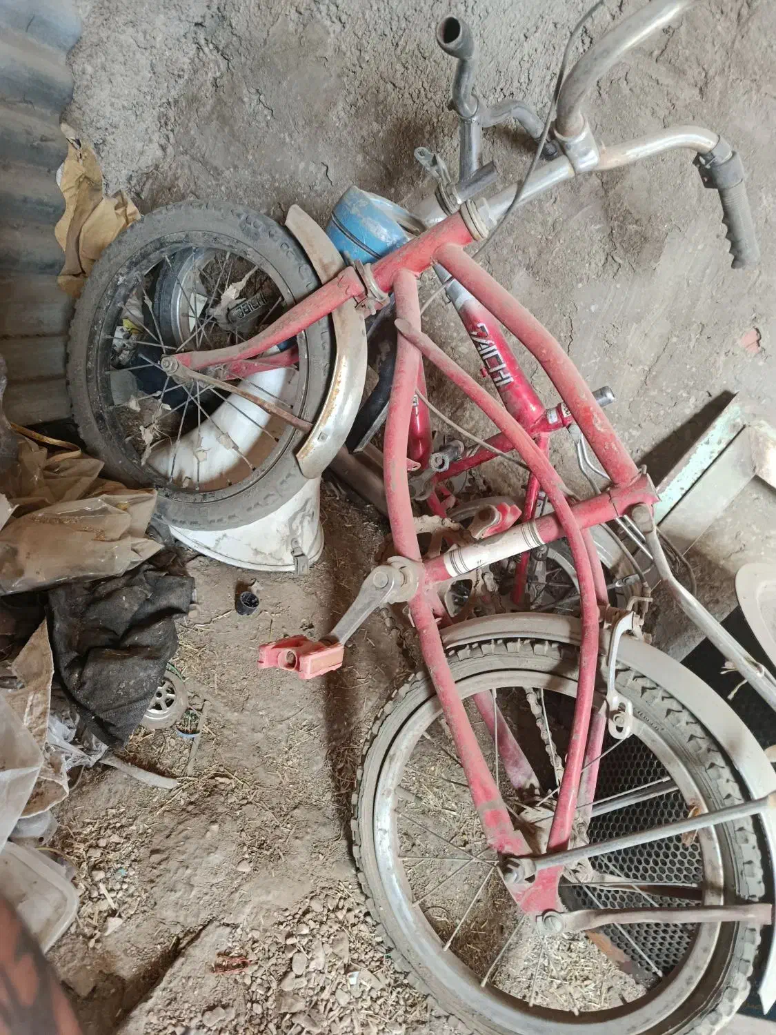 دوچرخه|دوچرخه، اسکیت، اسکوتر|طبس, |دیوار