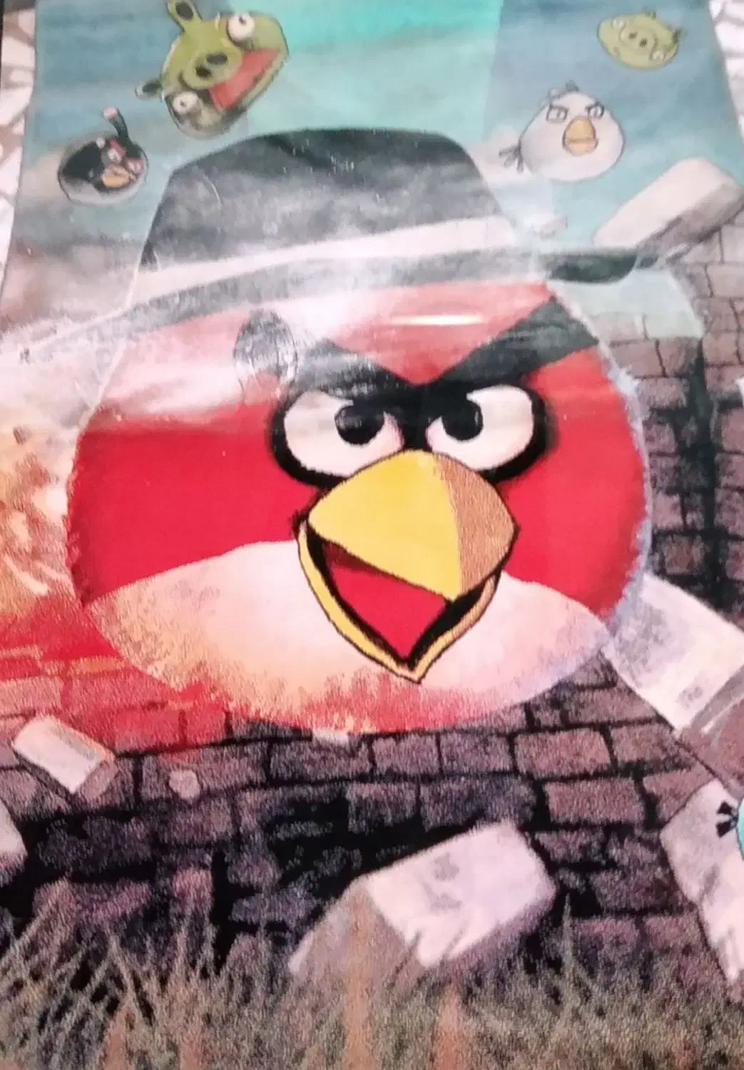 فرش ۷۵۰ تومن|فرش|رشت, نیکمرام|دیوار