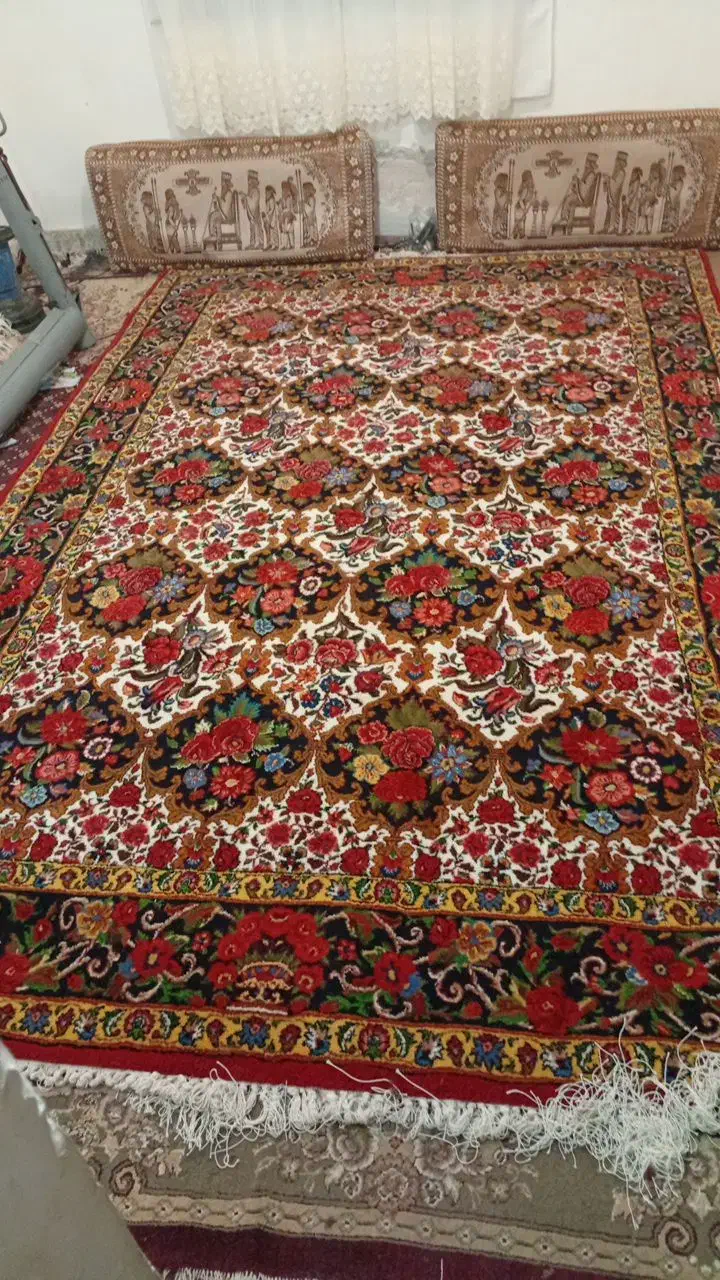 فرش دستباف|فرش|بندرعباس, |دیوار