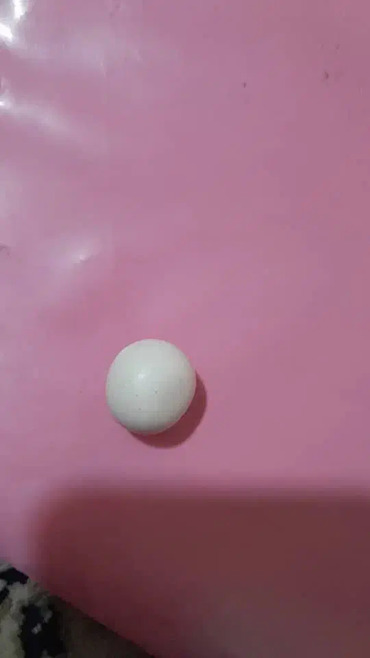 سنگ قیمتی|جواهرات|بندر دیر, |دیوار