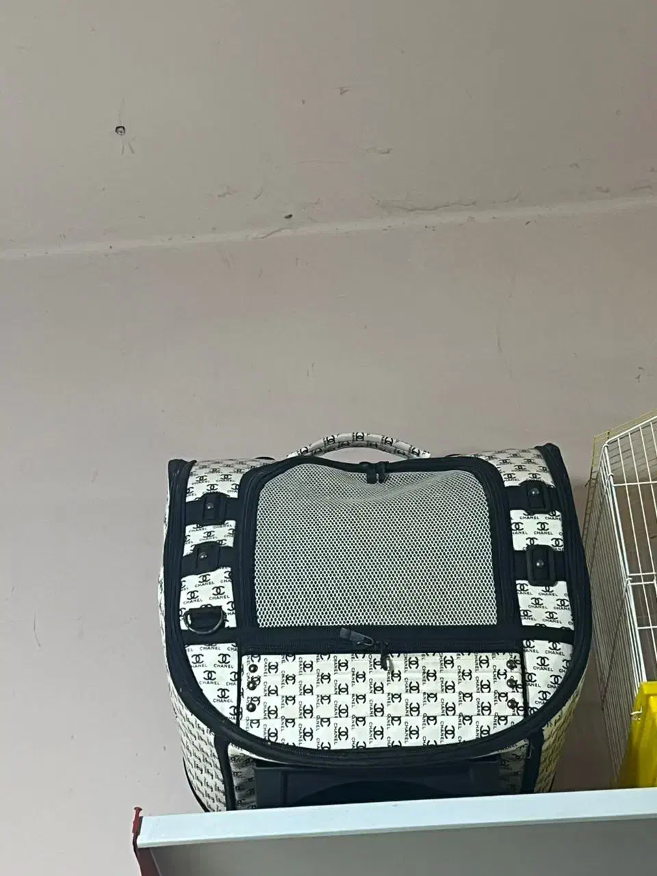 باکس برندChanel|لوازم جانبی حیوانات|چالوس, |دیوار