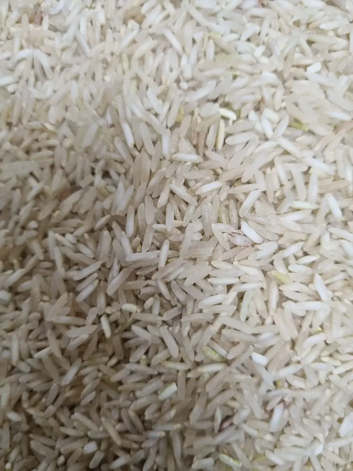 برنج محلی نوراباد ممسنی|خوردنی و آشامیدنی|شیراز, شهرک بهار|دیوار