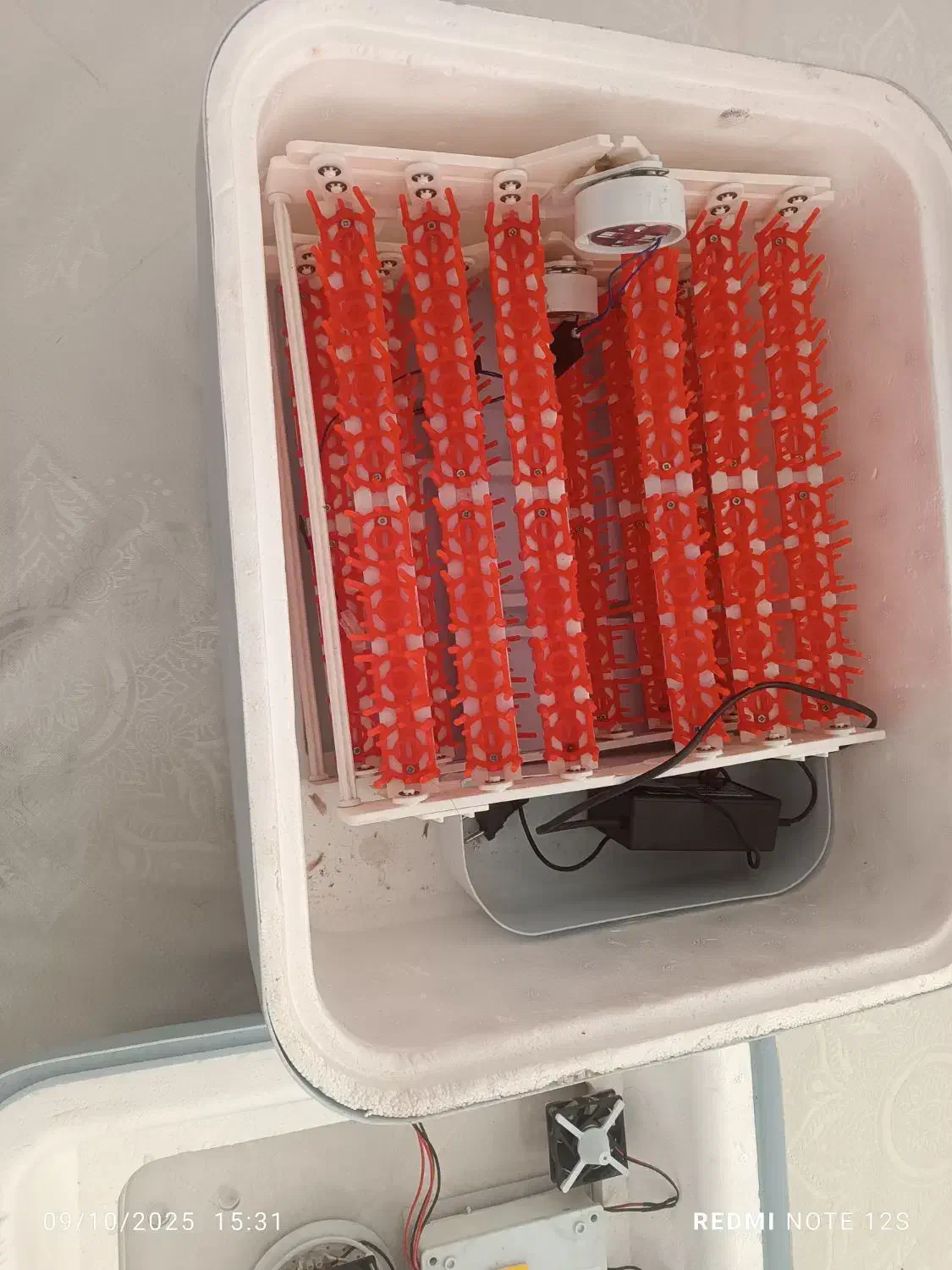 دستگاه جوجه کشی۹۶تایی اسکندری|لوازم جانبی حیوانات|آستانه اشرفیه, |دیوار