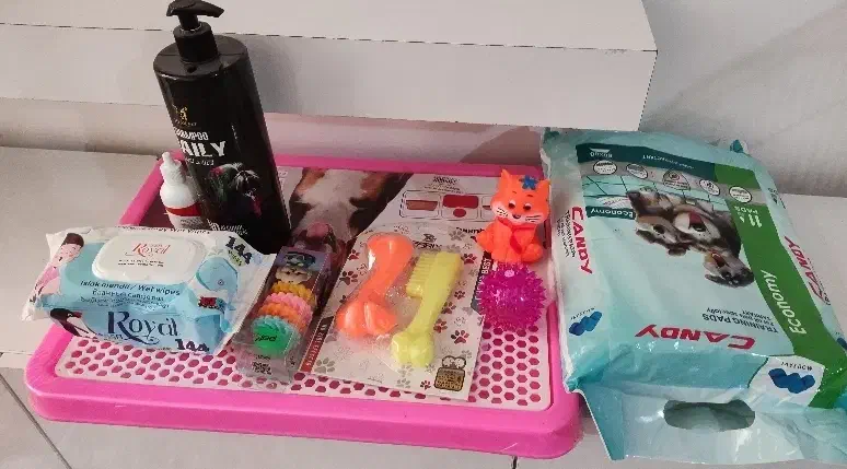 سگ عروسکی|سگ|دزفول, |دیوار