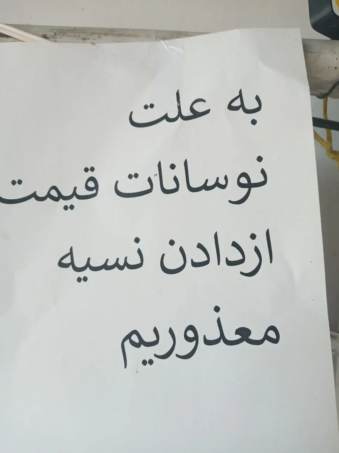 دو عدد فرش ۹متری ۷۰۰شانه ۲۵۵۰تراکم|فرش|محمدبار, |دیوار