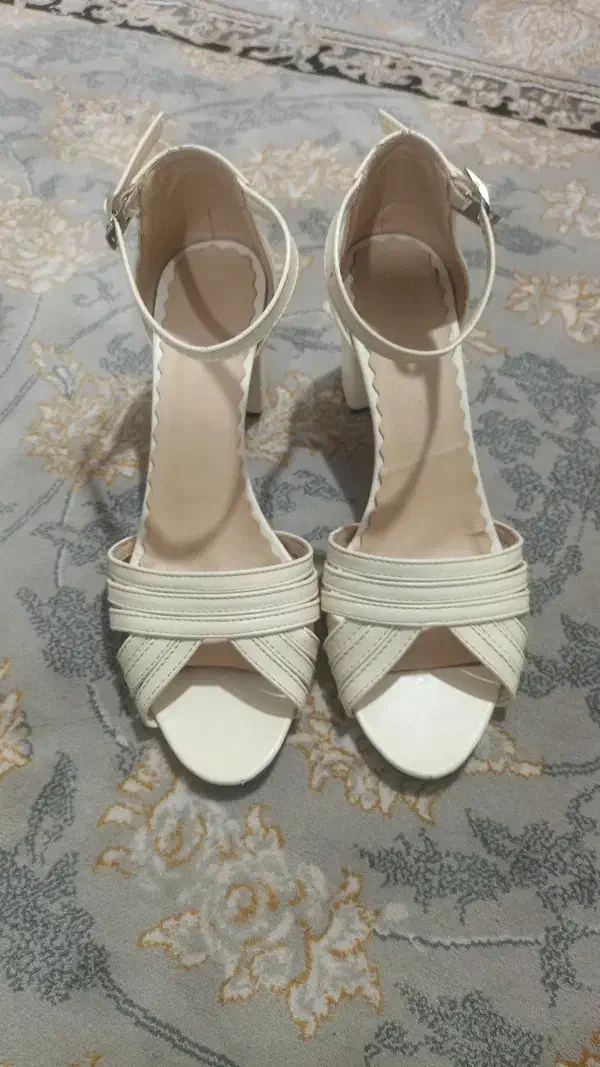 کفش مجلسی جدید|کیف، کفش، کمربند|میانه, |دیوار