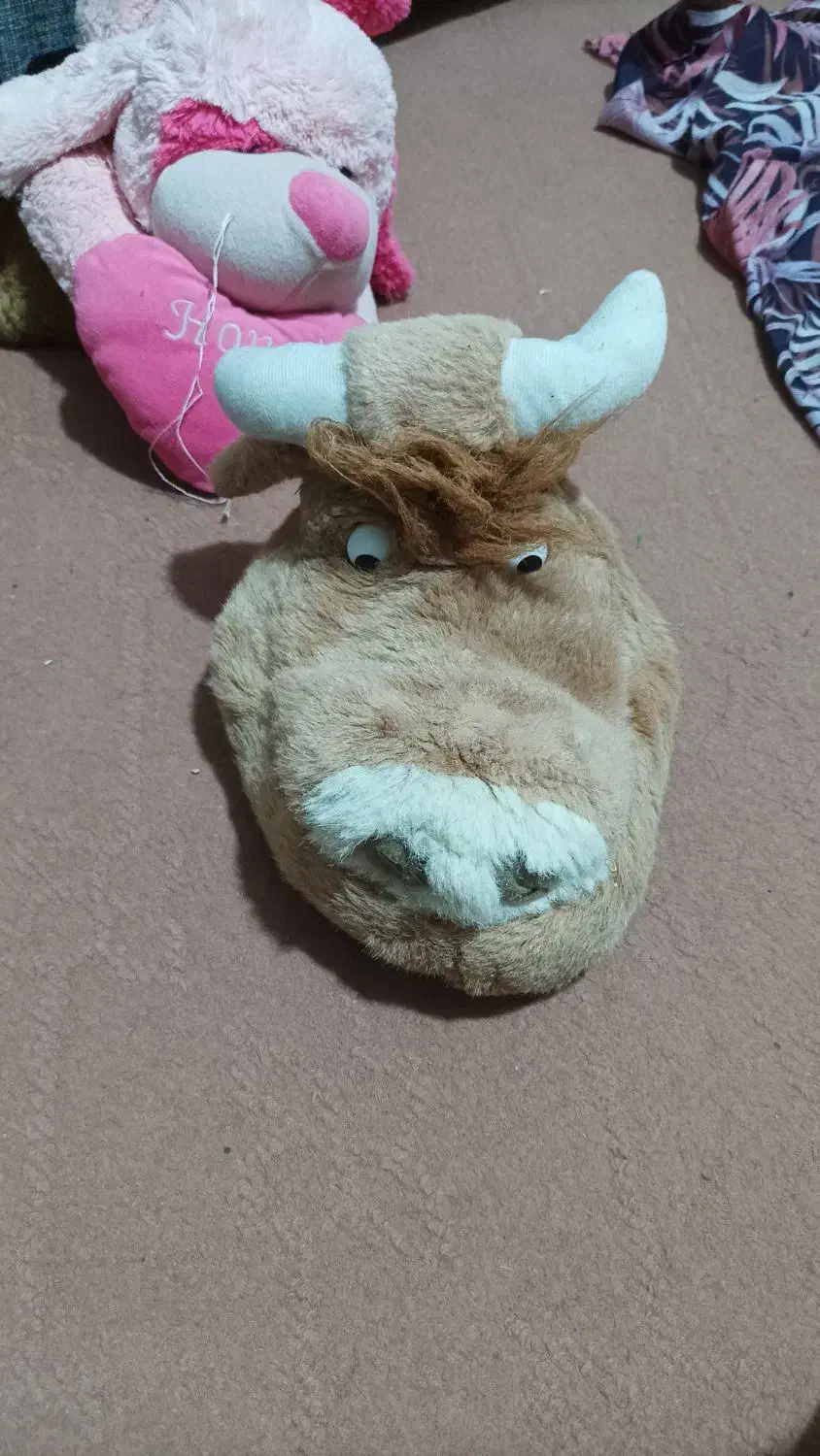 تعدادی عروسک خرسک|اسباب‌بازی بچه|زاهدان, |دیوار