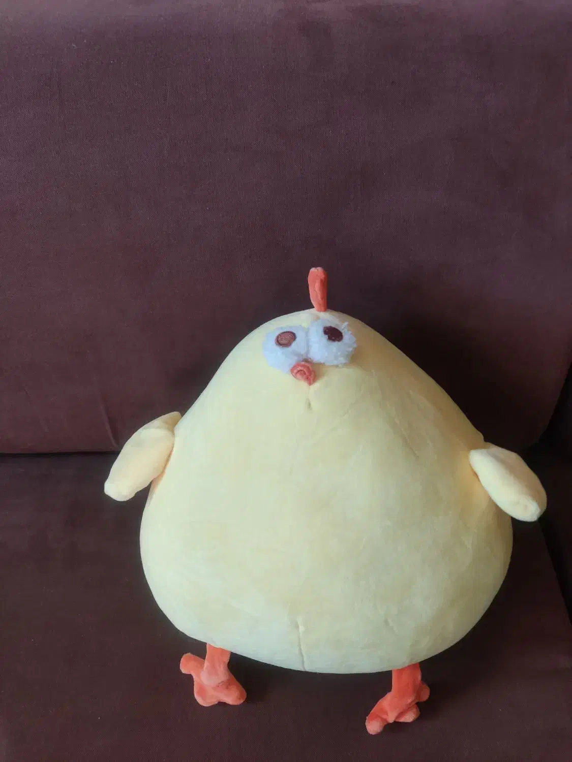 عروس ک های نو|اسباب‌بازی بچه|گلبهار, شهر جدید گلبهار|دیوار