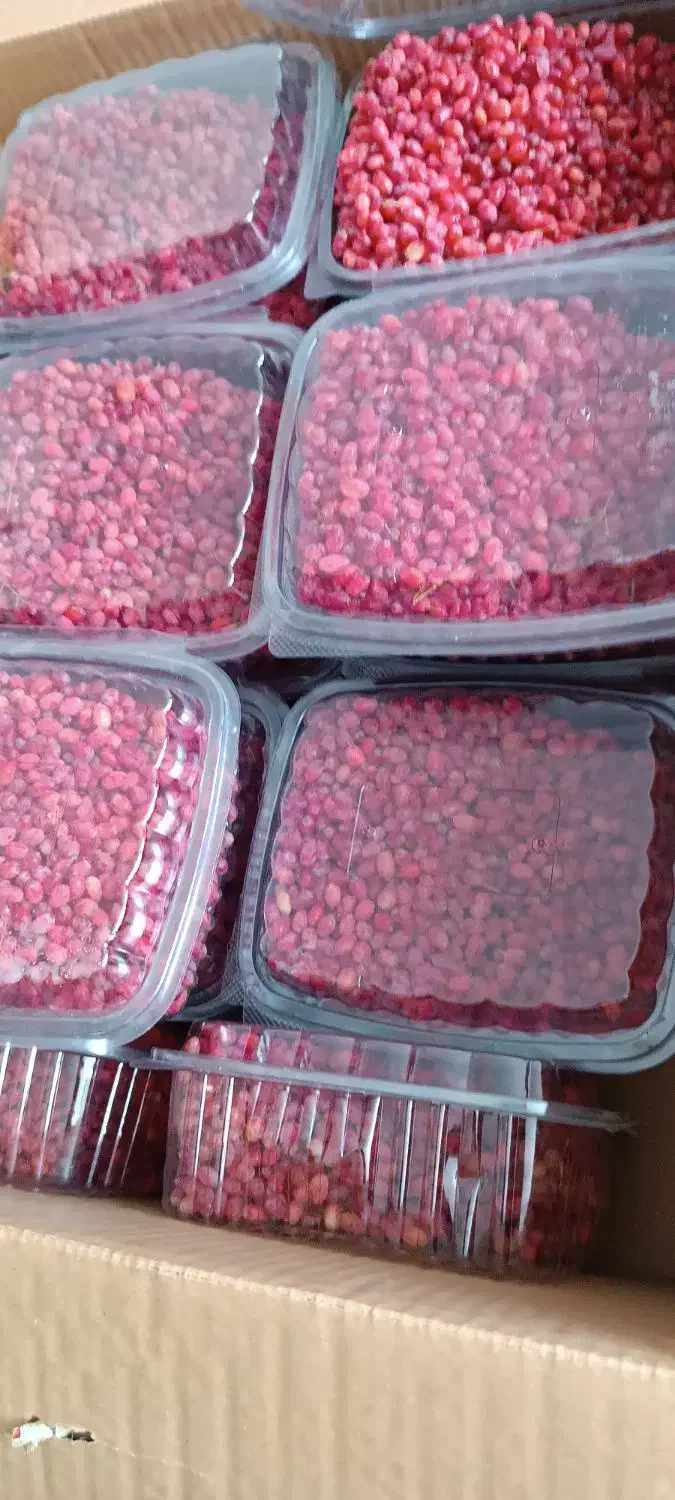زرشک دون شده آبدار|خوردنی و آشامیدنی|تهران, آشتیانی|دیوار