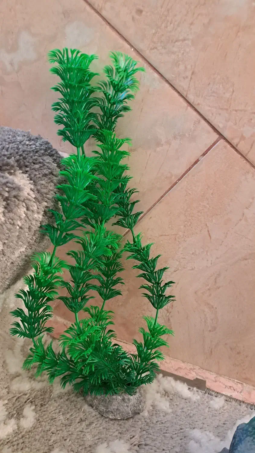 لوازم آکواریوم|لوازم جانبی حیوانات|دماوند, گیلاوند|دیوار