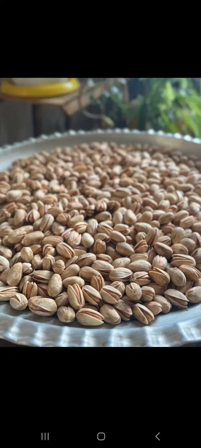 پسته اکبری|خوردنی و آشامیدنی|مشهد, نیروی هوایی|دیوار