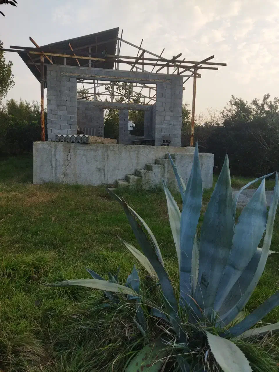 فروش زمین مازندران (ارطه وشیخ رجه)|فروش زمین و ملک کلنگی|ارطه, |دیوار