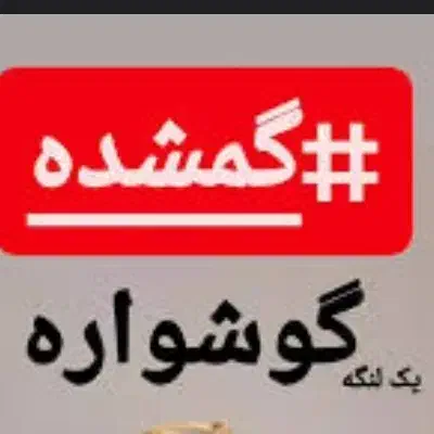 گوشواره گمشده|جواهرات|کرمانشاه, |دیوار