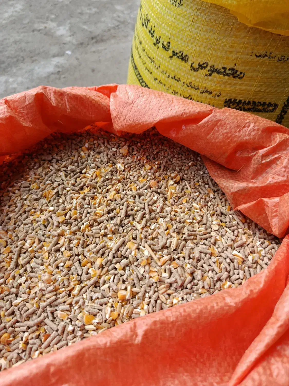 خوراک دام و دان طیور|لوازم جانبی حیوانات|تالش, جوکندان|دیوار