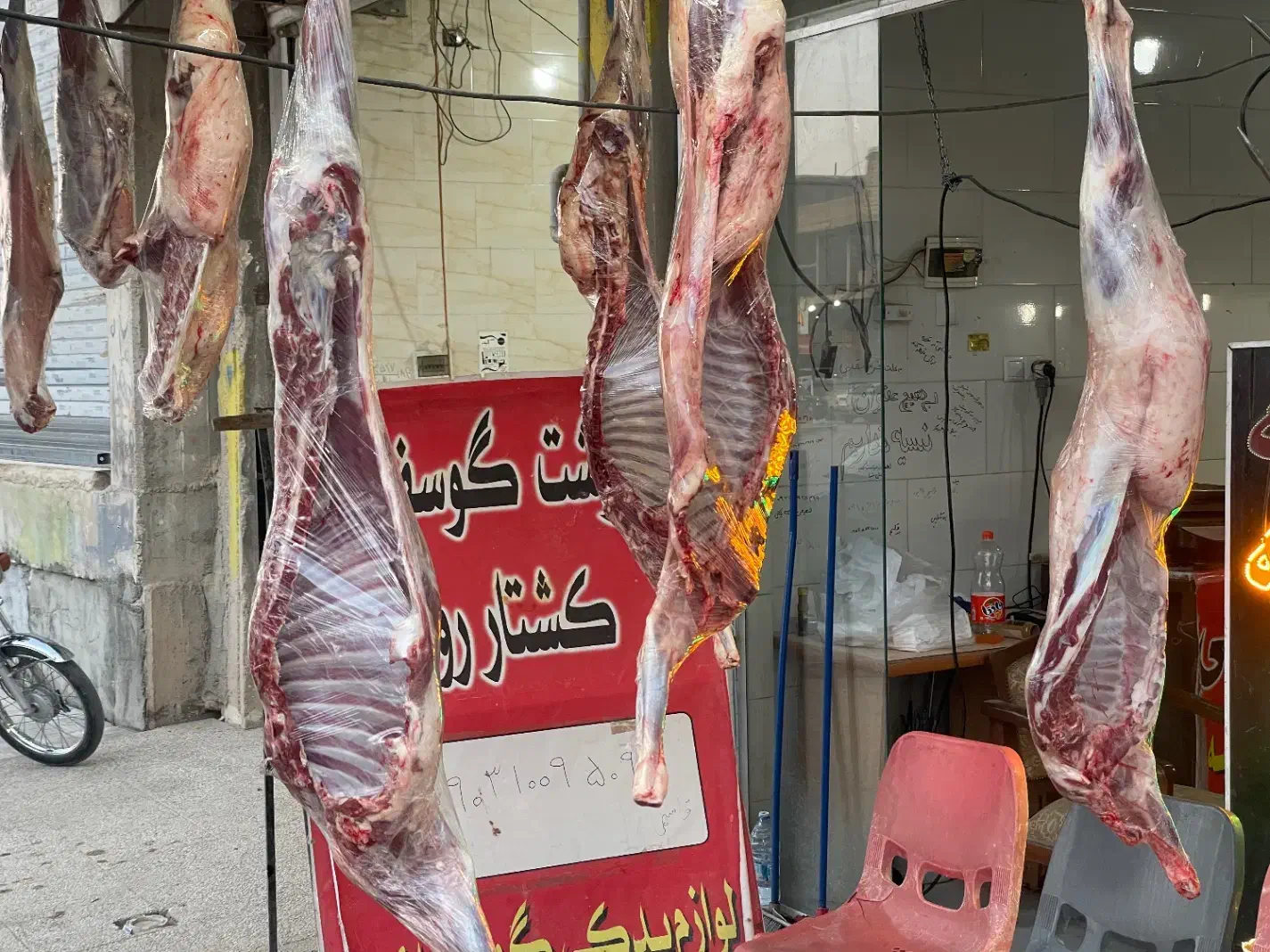 گوسفندزنده  وگوشت گوسفندی کشتارروز|حیوانات مزرعه|شیراز, کرونی(خاتونک)|دیوار