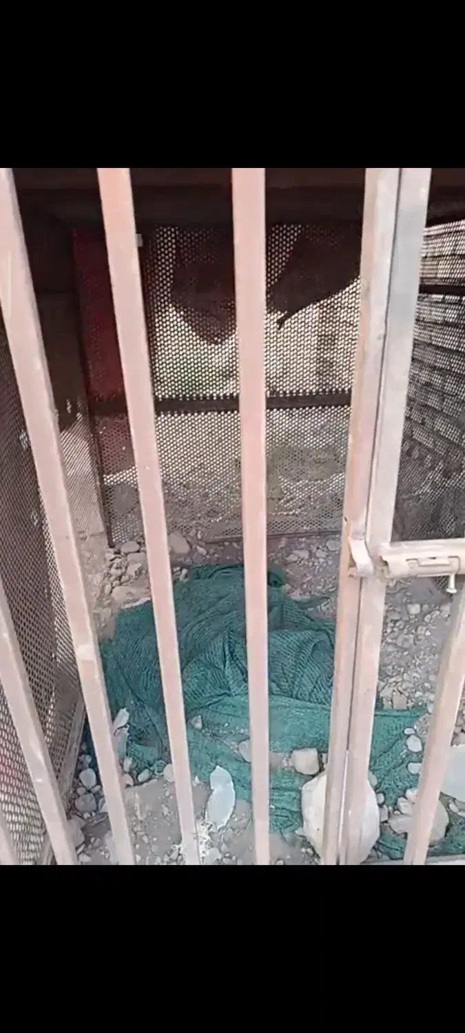 قفس  مقاوم عالی برای حیوانات اهلی و...|لوازم جانبی حیوانات|مرند, |دیوار