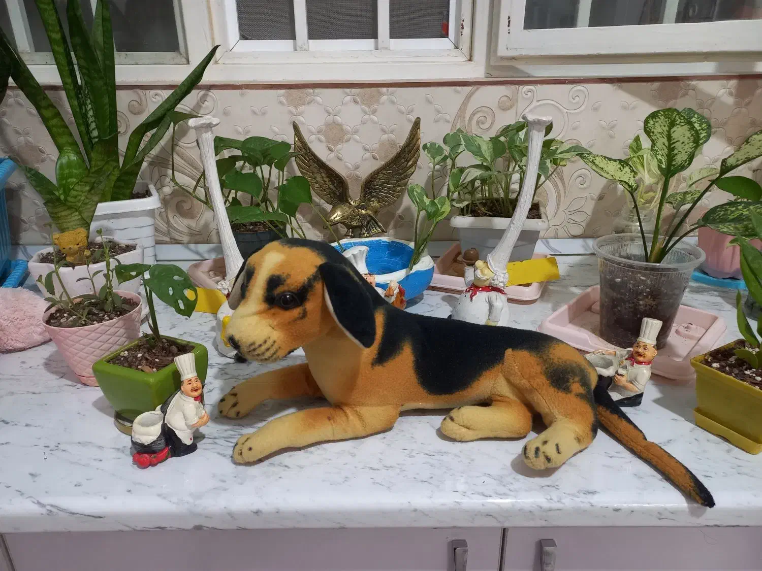 پولیشی|اسباب‌‌بازی|قم, شهرک فاطمیه|دیوار