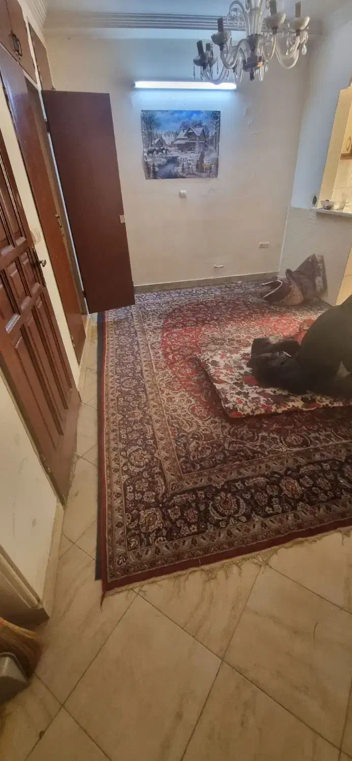 فرش ۱۲متری|فرش|تهران, خزانه|دیوار