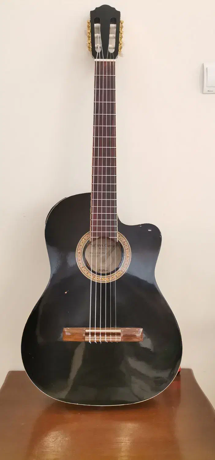 گیتار کلاسیک هافنر پیکاپ دار|گیتار، بیس، امپلیفایر|تهران, میدان ولیعصر|دیوار