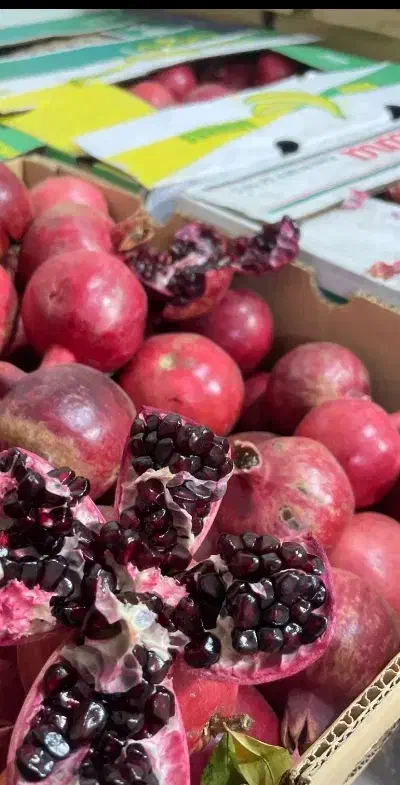 انار دونه سیاه|حراج|بردسیر, |دیوار