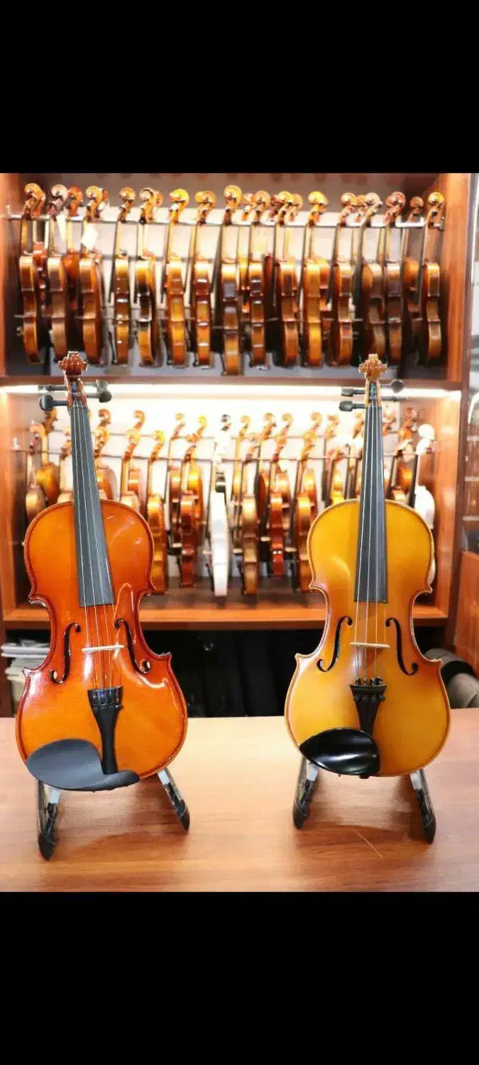 ویولنسل و ویولن آبنوس چوب فر|ویولن|شیراز, وصال|دیوار