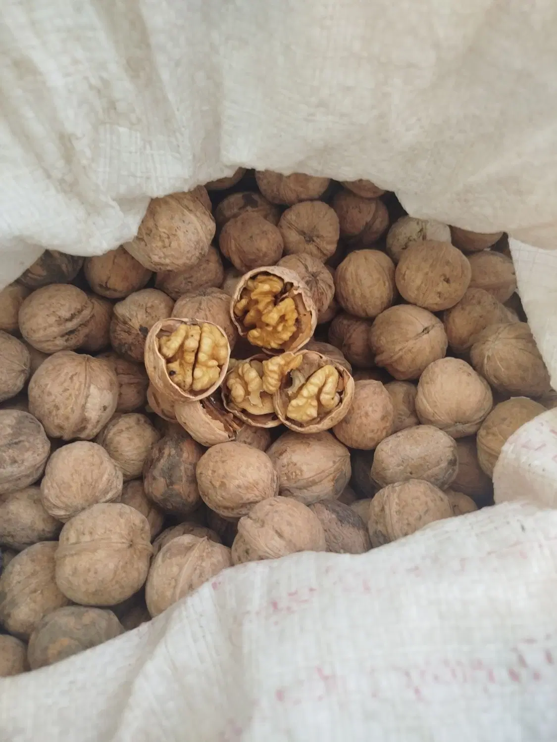 گردو|خوردنی و آشامیدنی|ارژن, |دیوار