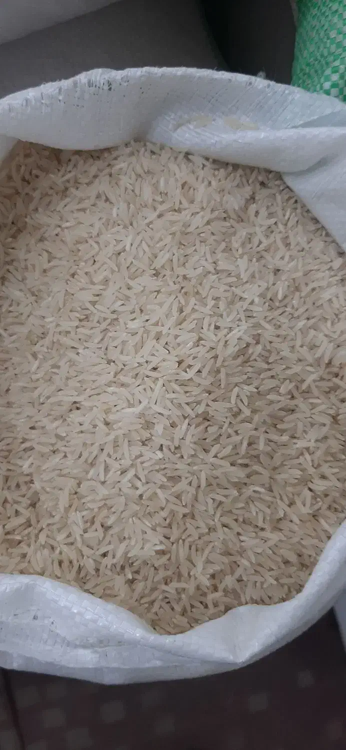 فروشگاه برنج محلی وشالی دمسیاه و فجر و غیره|عمده‌فروشی|آزادشهر, |دیوار