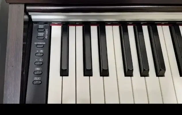 پیانو یاماها ydp 142 درحدنو|پیانو، کیبورد، آکاردئون|تبریز, |دیوار