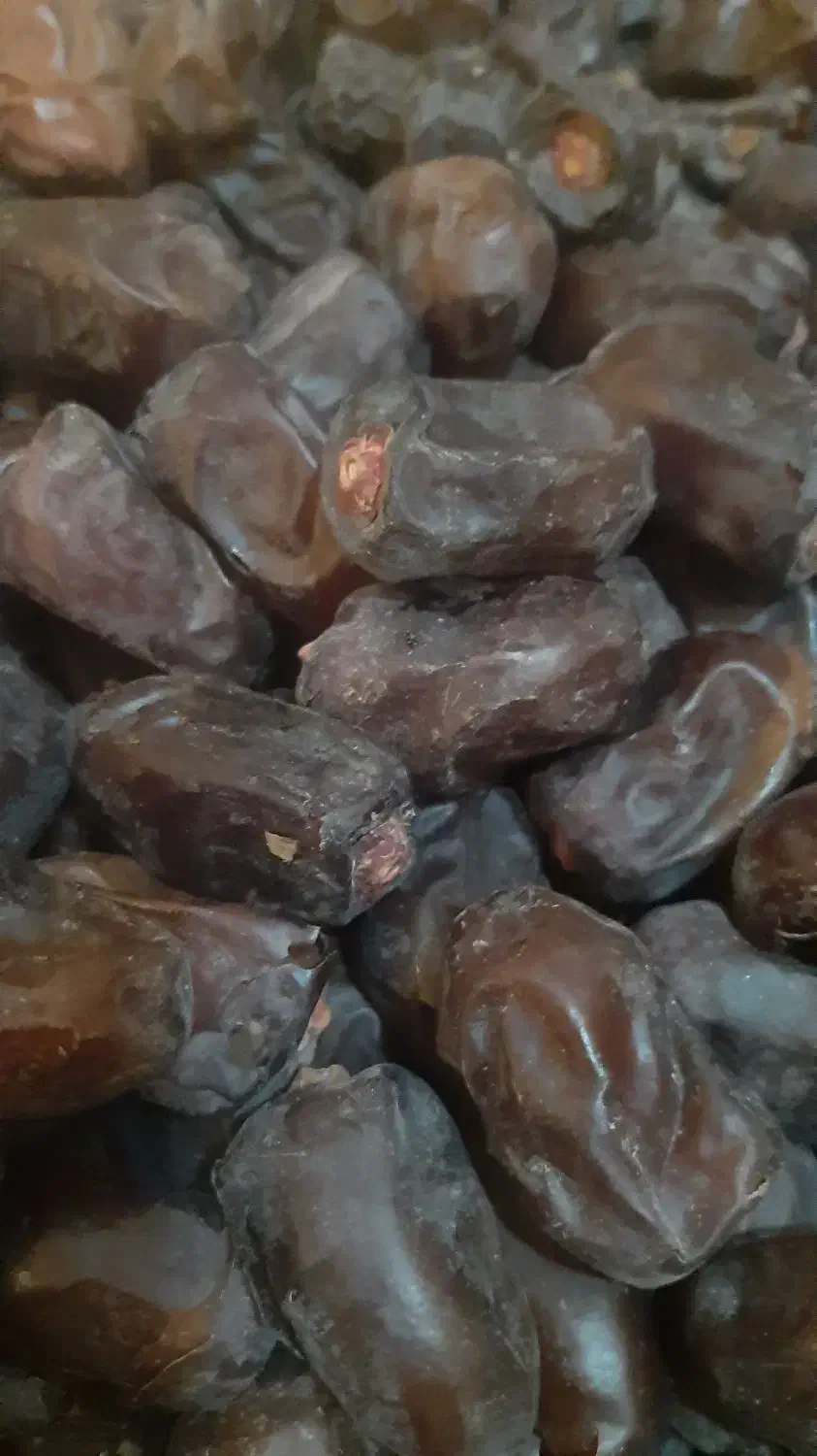 خرمای مضافتی ارگانیک کارخونه نرفته|خوردنی و آشامیدنی|شیراز, باغ تخت|دیوار