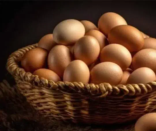 تخممرغ محلی|خوردنی و آشامیدنی|گرگان, |دیوار