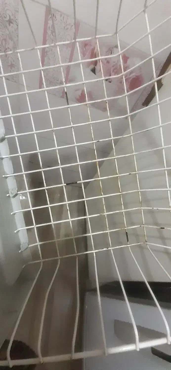 دو عدد یخچال نیمه فریز و تمام فریز لباسشوی هایر|یخچال و فریزر|تبریز, |دیوار