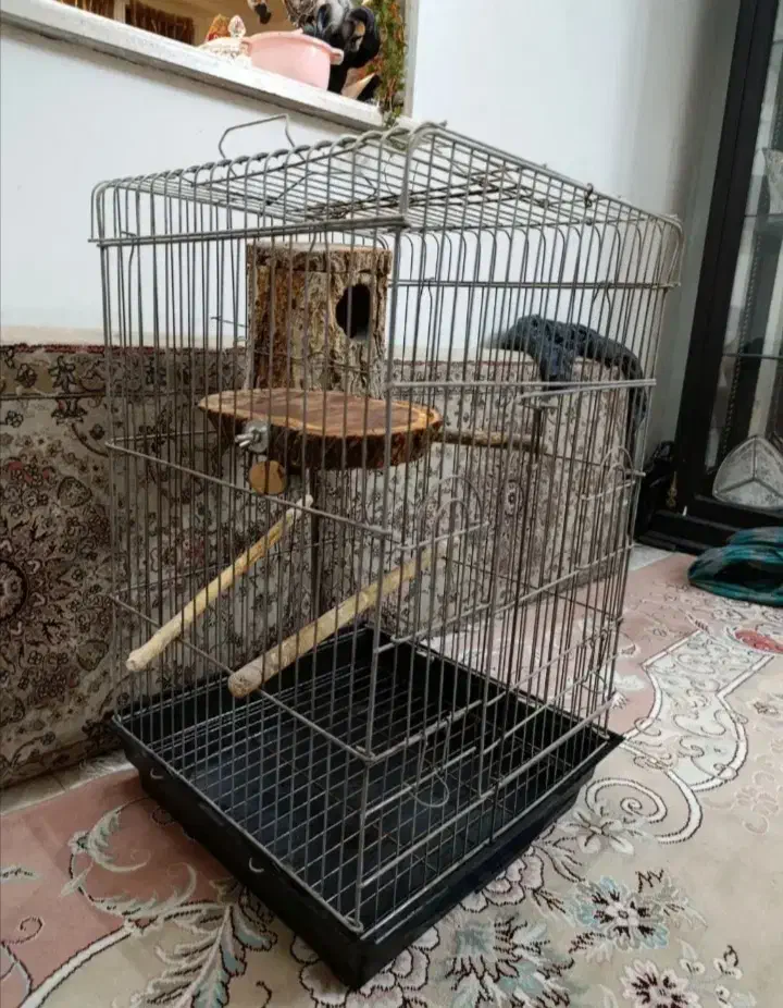 قفس|لوازم جانبی حیوانات|تهران, کیانشهر|دیوار