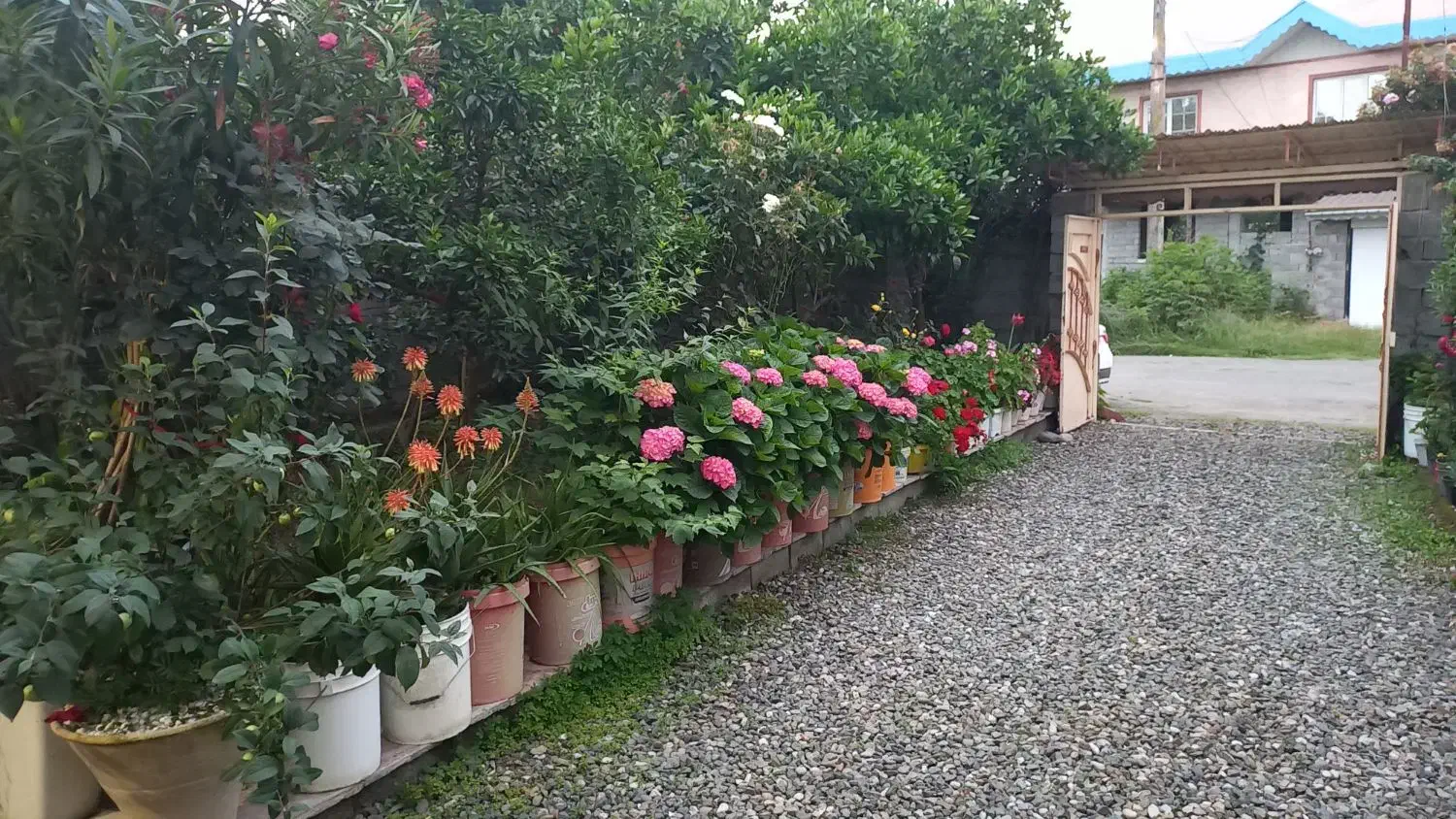 ویلا اجاره ای روزانه|اجارهٔ کوتاهمدت ویلا و باغ|املش, |دیوار