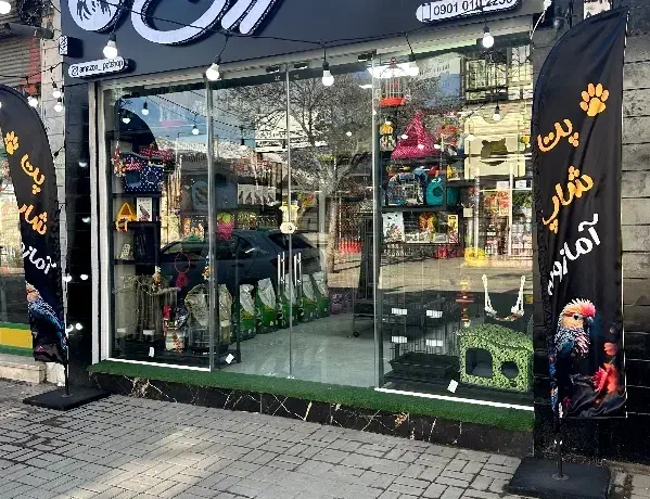 عروس هلندی طوطی ملنگو شاه طوطی قفس و لوازم پرنده|پرنده|ملایر, |دیوار