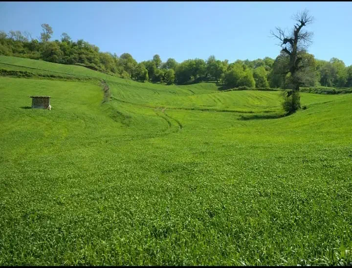 اجاره و رهن کامل منزل مسکونی روستای کوسه|اجارهٔ آپارتمان|کلاله, |دیوار