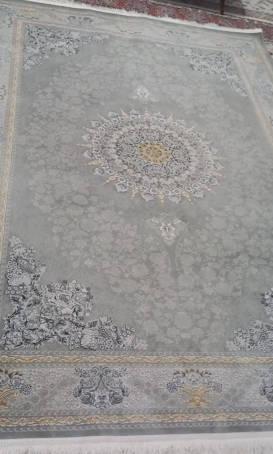 فرش 6متری|فرش|بندر انزلی, نوغان|دیوار