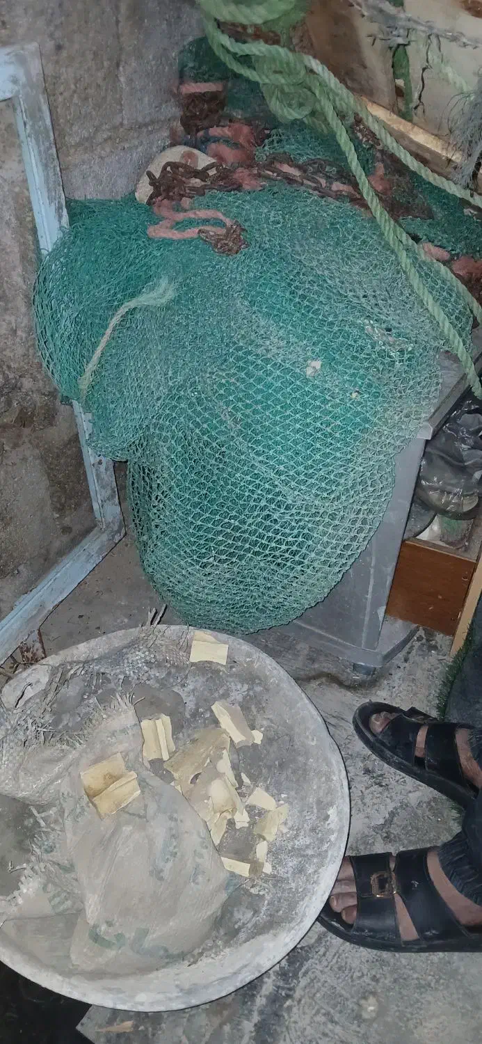 گوفه|ماهیگیری|بندر ماهشهر, |دیوار