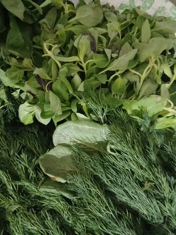 کار در منزل|خوردنی و آشامیدنی|کرج, گلدشت|دیوار