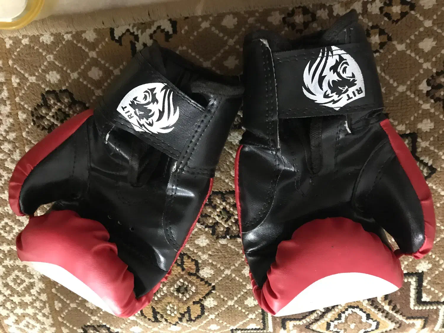 دستکش بوکس|تجهیزات ورزشی|رشت, شهرک آیت الله منتظری|دیوار