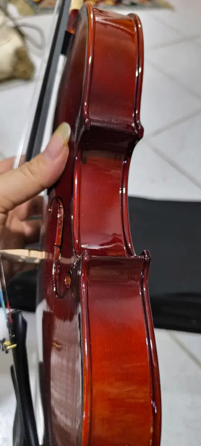 ساز ویولن تی اف|ویولن|اصفهان, باغ زرشک|دیوار